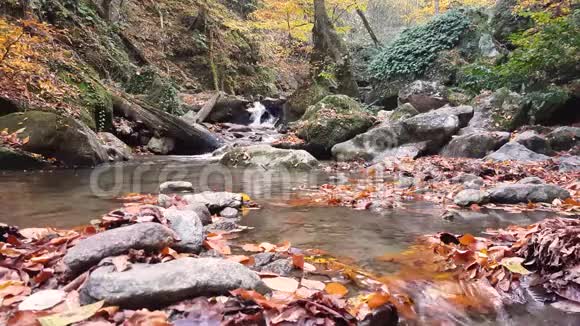 秋天森林中的瀑布视频的预览图