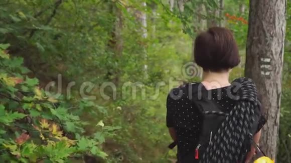 从后面看游客妇女在山上的森林小径上徒步旅行慢动作视频的预览图