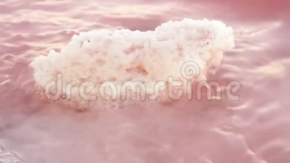 湖里的几片盐视频的预览图