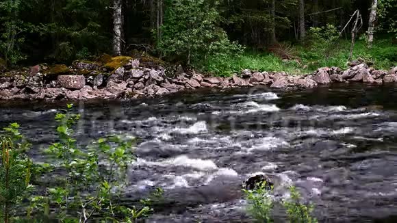 新鲜清澈的山溪河水在岩石和巨石上流淌在挪威阿克斯胡斯赫达尔附近的森林里视频的预览图