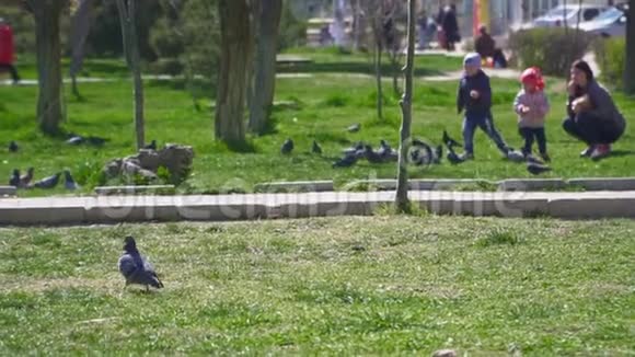 可爱的鸽子和孩子们在草地上的草地上慢动作视频的预览图