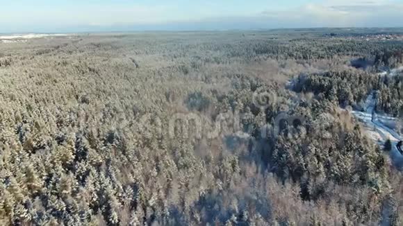 在冬日的蓝色多云天空下鸟瞰令人惊叹的森林风光和覆盖着雪的冰冻树木视频的预览图