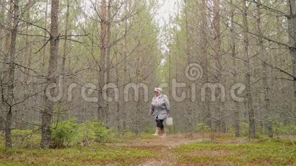 老太太走在秋天的森林里寻找蘑菇成人爱好视频的预览图