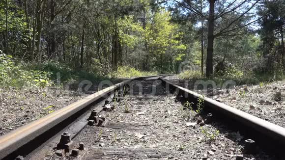 生锈的废弃铁轨在森林里弯曲仍然在树上随风而动旅行世界末日或孤独视频的预览图