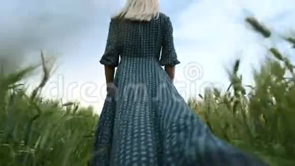 低角度后视一个年轻的金发女孩穿着宽松的绿色连衣裙悠闲地沿着一片绿色的麦田散步这就是视频的预览图