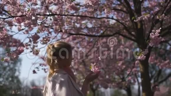 年轻的白种人白种人女人在欧洲的里加拉脱维亚欣赏樱花樱花树视频的预览图