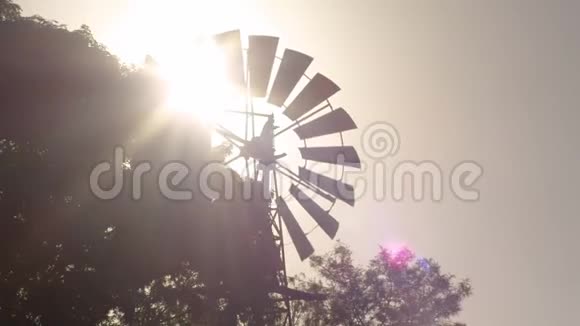 一个风车拍摄和阳光视频的预览图