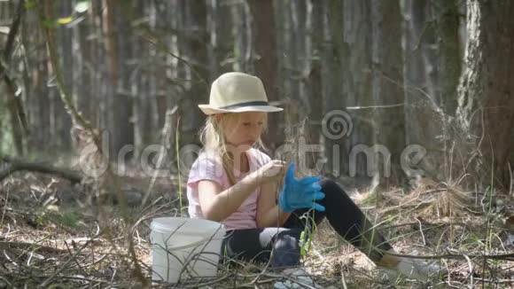 阳光明媚的一天小女孩在森林里采蘑菇蘑菇采摘蘑菇季节可爱的女孩视频的预览图