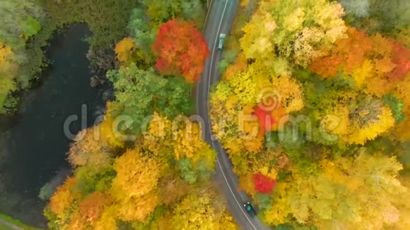鸟瞰秋天森林里有车经过的路视频的预览图