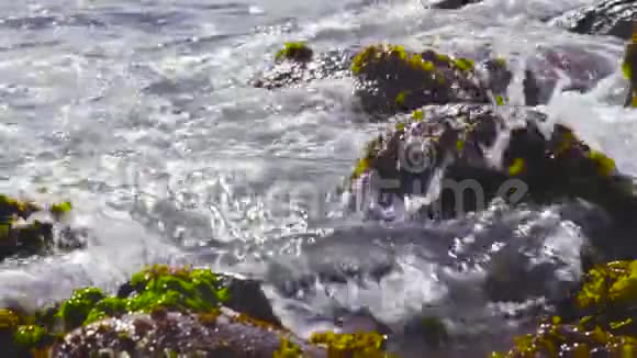 多云的一天智利海岸的潮汐舞飞溅阿尔加罗博慢动作视频的预览图