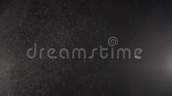 漂浮的小灰兔在黑色的背景上闪闪发光视频的预览图