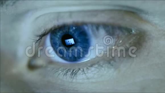 瞳孔中的人眼与上网反射的特写视频的预览图