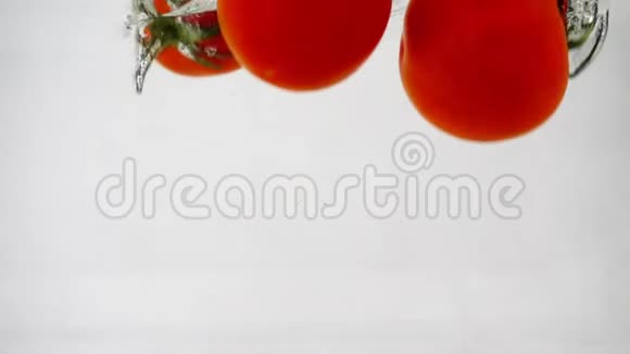 四个红西红柿在白色背景下一滴一滴水花视频的预览图