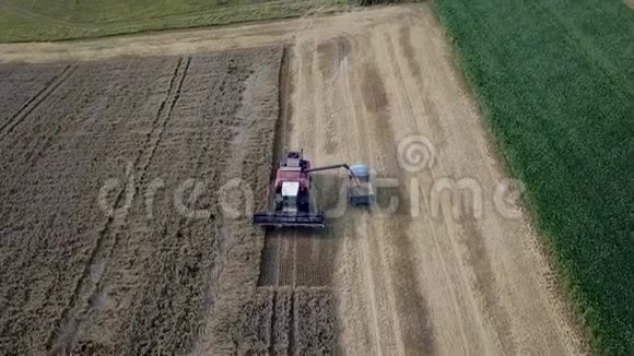 联合和农机收割小麦田间劳动的收割者顶部视图视频的预览图