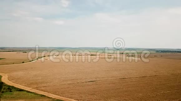 鸟瞰两个现代结合收割小麦在田间顶部视图视频的预览图