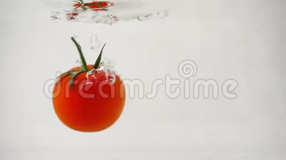一个成熟的红番茄左边是白色背景上面有一根树枝在水下旋转视频的预览图