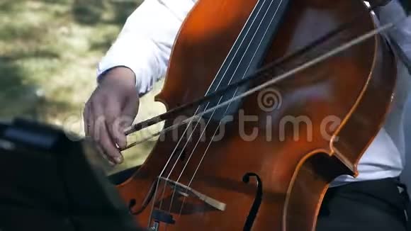 大提琴音乐家古典音乐音乐会视频的预览图