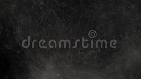 漂浮的透明尘埃落在黑色背景上视频的预览图
