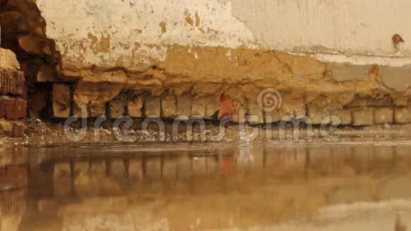 在一堵古老的砖墙前把水滴从上面掉进水坑里视频的预览图