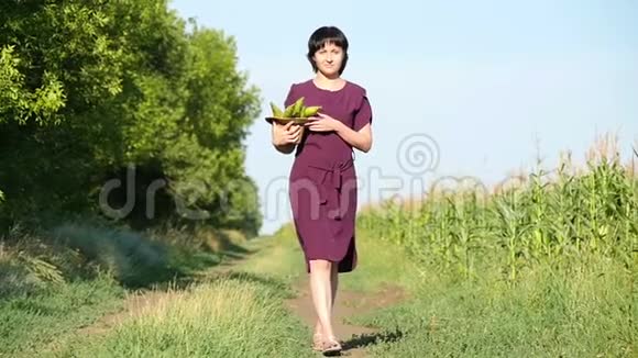 那个女人慢慢地走向房间戴着草帽把玉米收成扛起来农业和收获的概念视频的预览图