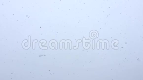 冬天多云的一天雪从天空缓缓落下视频的预览图