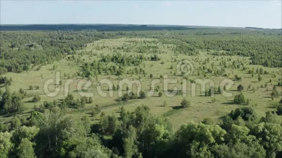 森林生长过度洛斯卡村被遗弃的土地视频的预览图