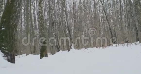 一男一女冬天在公园里跑步练习健康的生活方式在视频的预览图