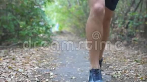 在初秋的森林里一个运动的人沿着小径奔跑把腿合上男运动员的脚沿小径慢跑视频的预览图