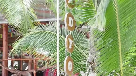 威克灯笼装饰海滩上的一棵树棕榈树上美丽的灯笼视频的预览图