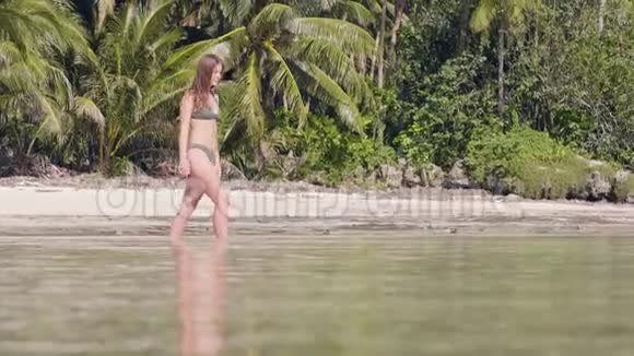 迷人的女士穿比基尼进入水晶清澈的海水天堂海滩美丽的女人走在海水里视频的预览图