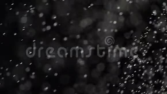 漂浮的透明的灰尘斑点在黑色的背景上闪闪发光视频的预览图