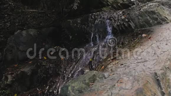 森林里的瀑布雨林里美丽的风景视频的预览图