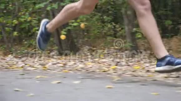 初秋年轻运动员的男性腿在森林附近的小径上快速冲刺运动型男子双脚在路上奔跑视频的预览图