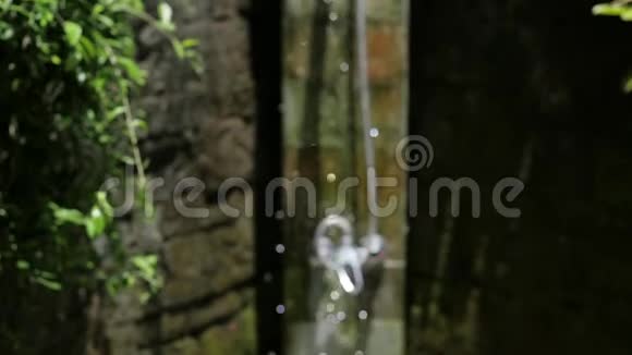 一个清爽的巴厘岛风格的户外淋浴在一个郁郁葱葱的热带花园环境视频的预览图