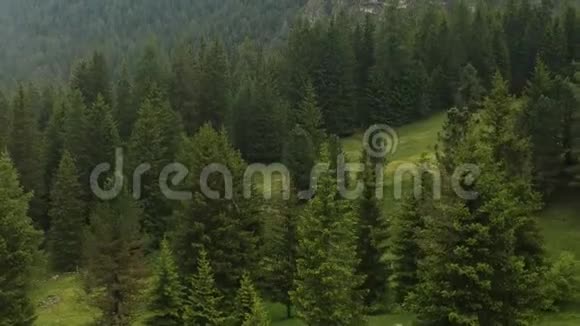 白云石意大利飞越美丽的绿色森林和乡村风景中的群山视频的预览图