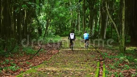 骑自行车穿过热带森林清晰的地面路径周围是过度生长的植物视频的预览图