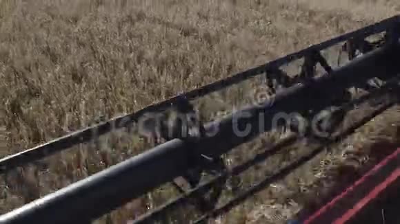 切成熟的金色黑麦茎干的刀片在农场附近视频的预览图