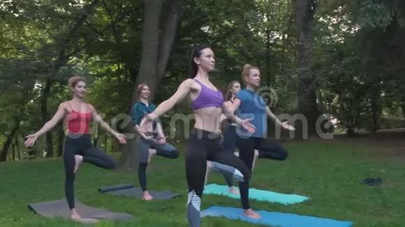 公园里的瑜伽或普拉提一群不同年龄的妇女在早上站着做不同的姿势团队合作运动视频的预览图