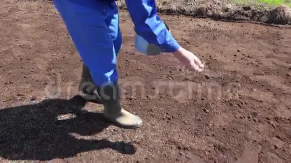 熟练的园艺工人播下一把草籽手持移动射击视频的预览图