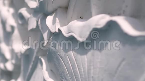 白色背景上的白色石膏装饰视频的预览图