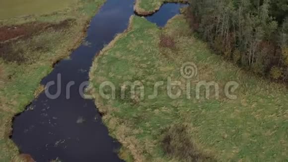 秋天新鲜的河流弯曲和树林空中视频的预览图