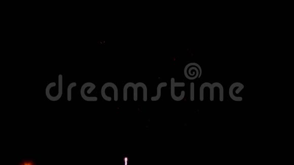 夜晚的烟花在黑色背景上有不同的颜色视频的预览图