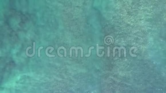 透明的海浪在沙底海藻视频的预览图