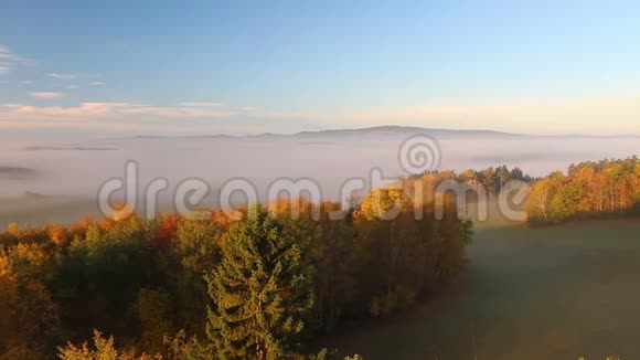 在日出时雾蒙蒙的秋草甸和小山旁转弯捷克的风景视频的预览图