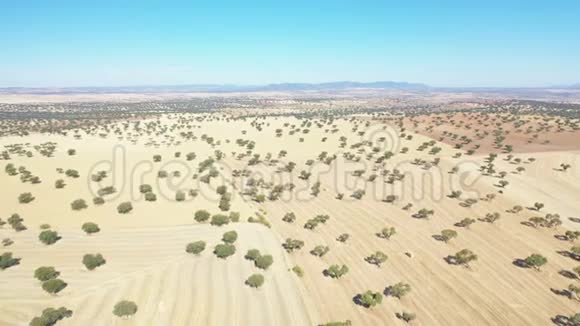 空中观景和降落在杜克河边的农田上视频的预览图