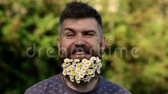 戴着雏菊的嬉皮士看上去很开心留胡子的人胡子上有雏菊花草背景离焦环保视频的预览图