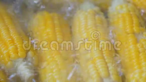 黄玉米在锅里煮视频的预览图