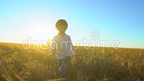 幸福的家庭在户外和微笑的男孩一起走在麦田里从父母那里逃出来的孩子视频的预览图