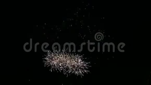 江面夜空中闪烁着喜庆的烟花时间跨度视频的预览图