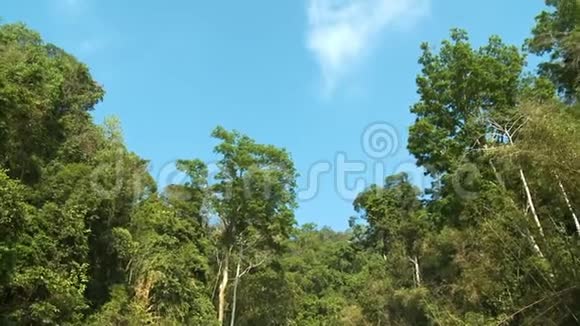 KLPerak皇家贝鲁姆雨林景观视频的预览图
